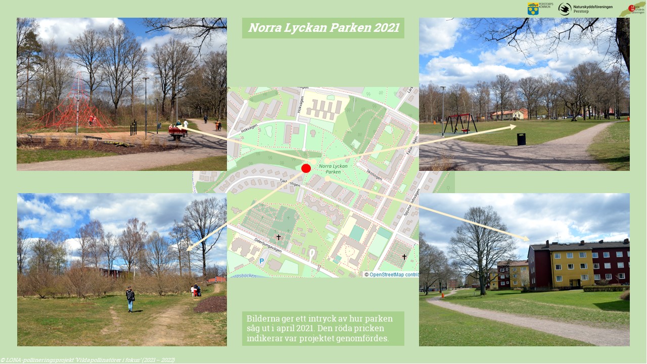 Bilder från Norra Lyckan Parken i 2021