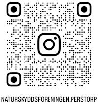 Instagram QR
