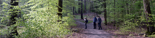 Fågelvandring Uggleskogen