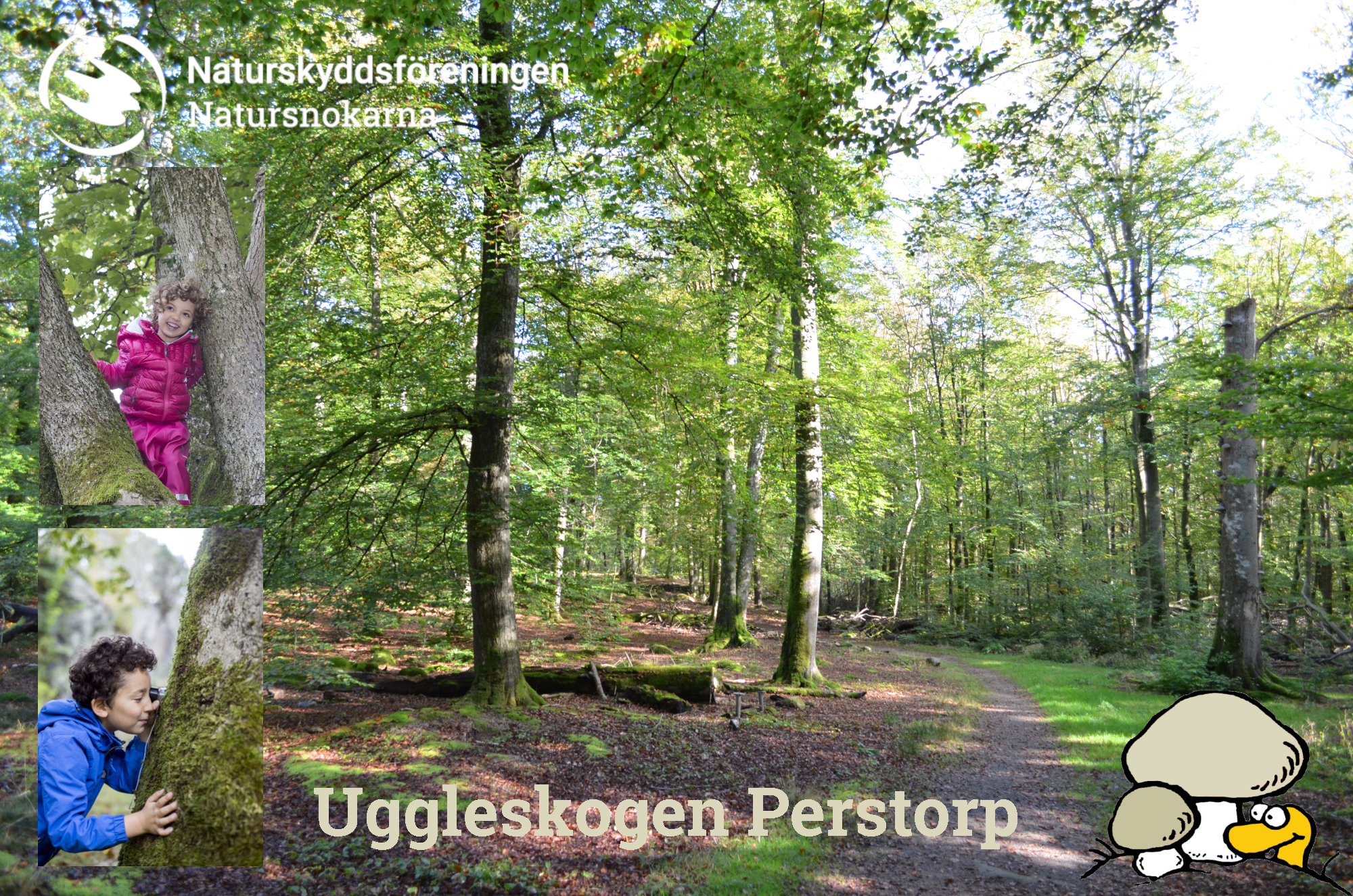 Natursnokarna i Uggleskogen