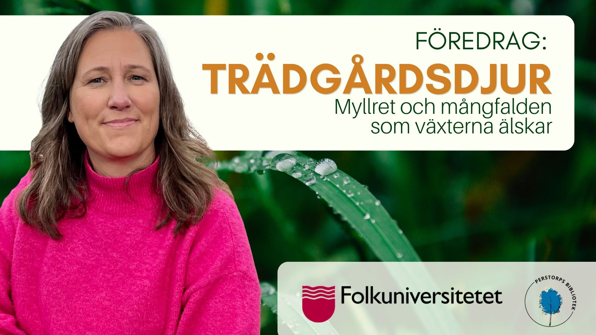 Marie Dacke föreläser i bibliotekts hörsal den 2 februari